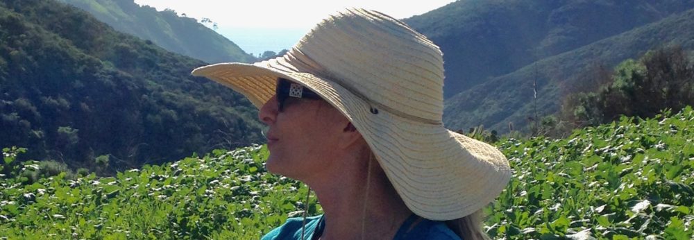 Cat Lady in the Canyon